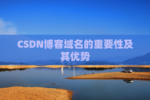 CSDN博客域名的重要性及其优势